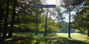 Forêt privée de 2 hectares