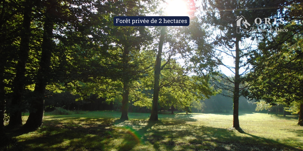Forêt privée de 2 hectares