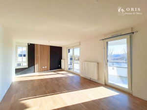 Lumineux séjour de 28 m²